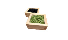 Organic soybeans, Black soybeans, Green soybeans