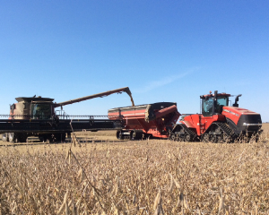 Soybean Harvest