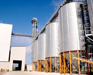 Storage in silo