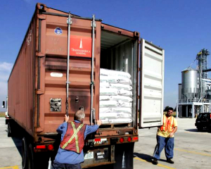 Loading in container